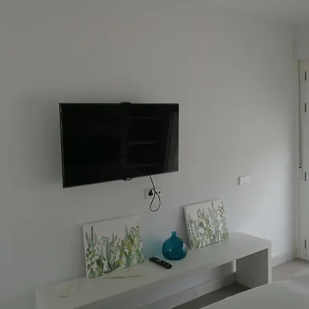 Casa David